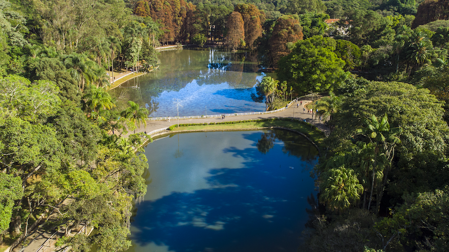 Foto: divulgação Horto Florestal SP.